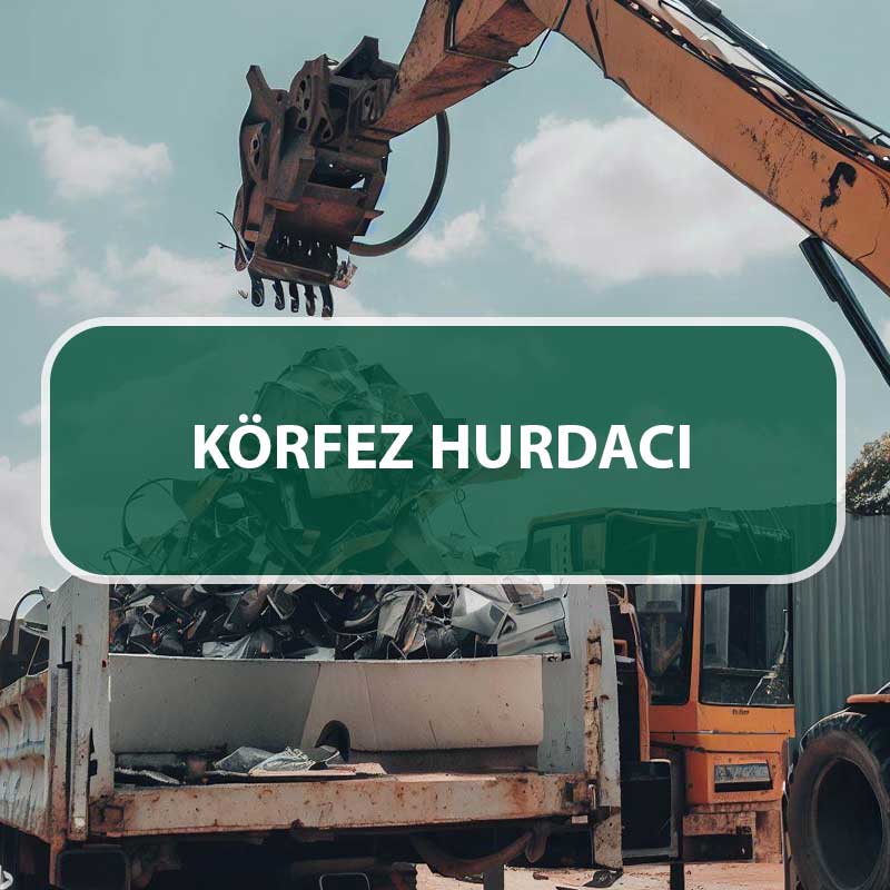 körfez hurdacı